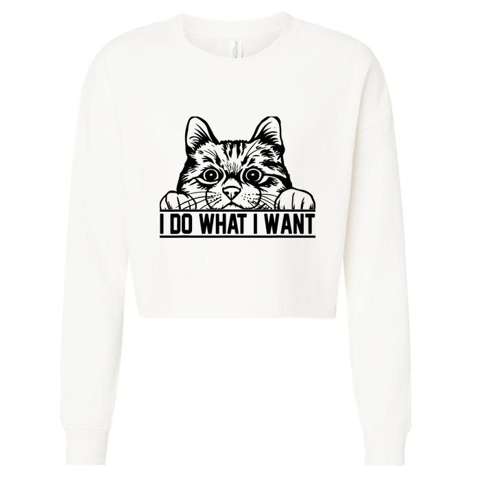 Funny Cat Lovers Retro 70s 80s 90s I Do What I Want Cat Cropped Pullover Crew