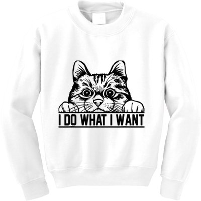Funny Cat Lovers Retro 70s 80s 90s I Do What I Want Cat Kids Sweatshirt