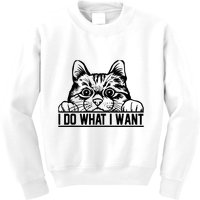 Funny Cat Lovers Retro 70s 80s 90s I Do What I Want Cat Kids Sweatshirt