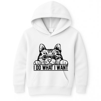 Funny Cat Lovers Retro 70s 80s 90s I Do What I Want Cat Kids Hoodie