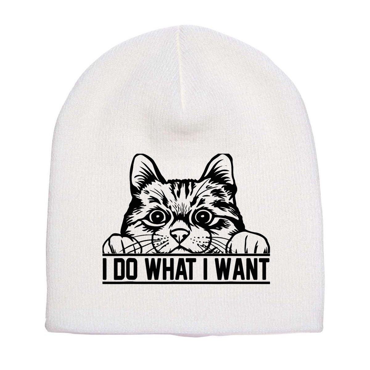 Funny Cat Lovers Retro 70s 80s 90s I Do What I Want Cat Short Acrylic Beanie