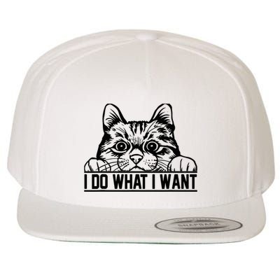 Funny Cat Lovers Retro 70s 80s 90s I Do What I Want Cat Wool Snapback Cap