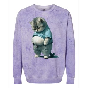 Fat Cat Lover Funny Colorblast Crewneck Sweatshirt