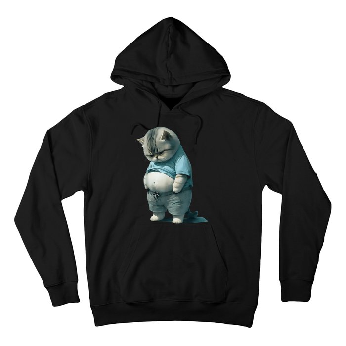 Fat Cat Lover Funny Hoodie