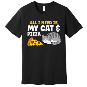 Funny Cat Lover All I Need Is My Cat And Pizza Premium T-Shirt