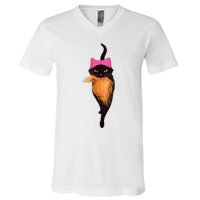 Funny Cat Ladies And Cat Guy V-Neck T-Shirt