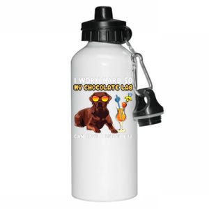 Funny Chocolate Lab Design Chocolate Labrador Lovers Aluminum Water Bottle