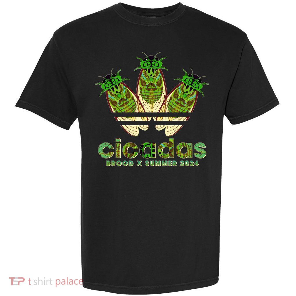 Funny Cicadas Logo Brood X Summer 2024 Garment-Dyed Heavyweight T-Shirt