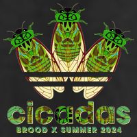Funny Cicadas Logo Brood X Summer 2024 25L Jumbo Tote