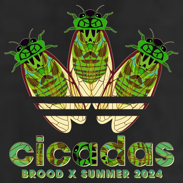 Funny Cicadas Logo Brood X Summer 2024 25L Jumbo Tote