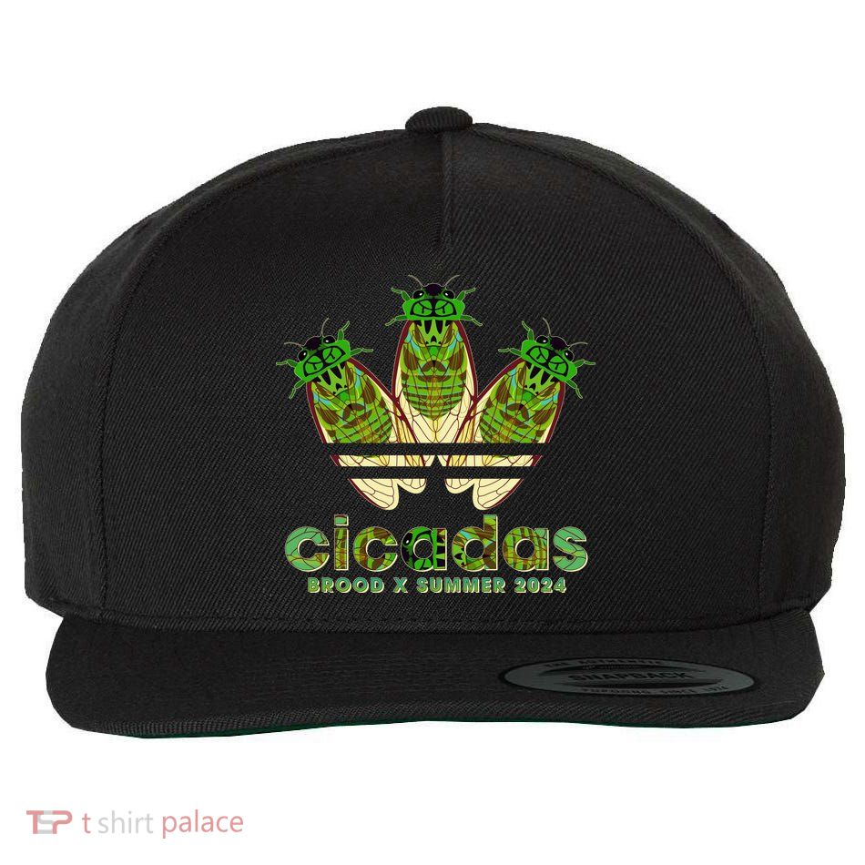 Funny Cicadas Logo Brood X Summer 2024 Wool Snapback Cap