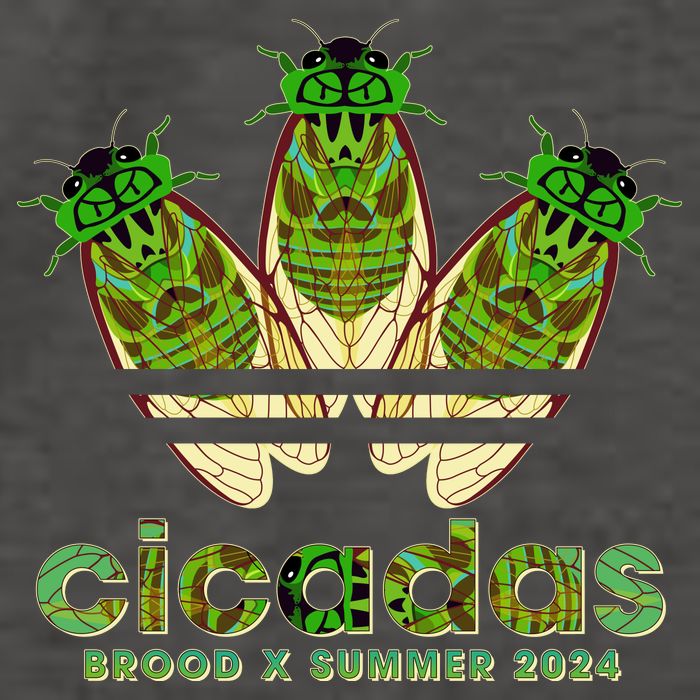 Funny Cicadas Logo Brood X Summer 2024 Vector Backpack