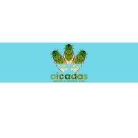 Funny Cicadas Logo Brood X Summer 2024 Bumper Sticker