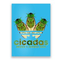 Funny Cicadas Logo Brood X Summer 2024 Poster