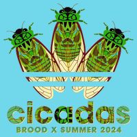 Funny Cicadas Logo Brood X Summer 2024 Poster