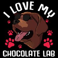 Funny Chocolate Labrador Retriever Gift Men Women Lab Lover 16 in Basic Backpack