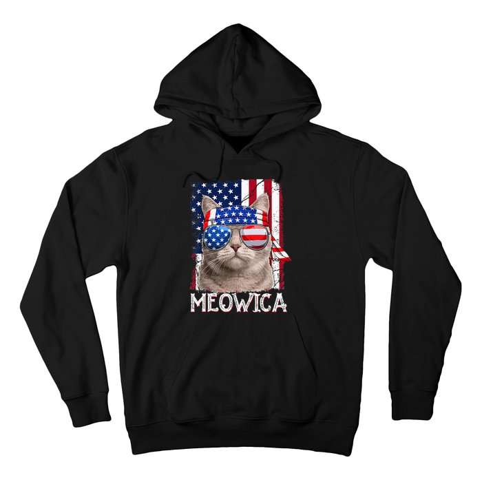 Funny Cat Lover 4th Of July Meowica American Flag Hoodie