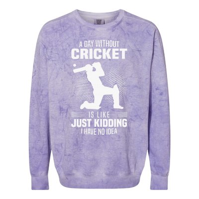 Funny Cricket Lover A Day Without Cricket Colorblast Crewneck Sweatshirt