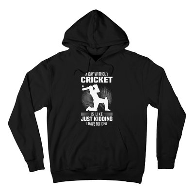 Funny Cricket Lover A Day Without Cricket Hoodie