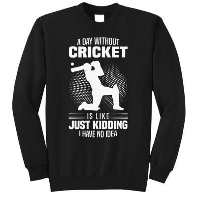 Funny Cricket Lover A Day Without Cricket Sweatshirt