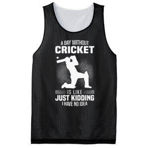 Funny Cricket Lover A Day Without Cricket Mesh Reversible Basketball Jersey Tank