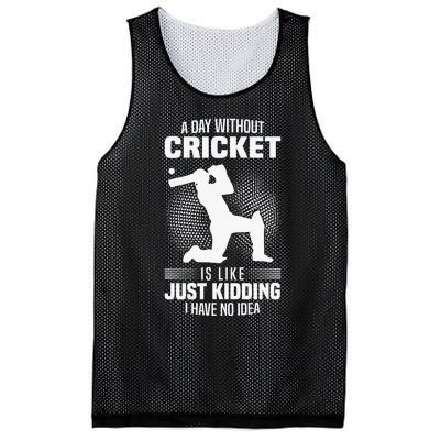 Funny Cricket Lover A Day Without Cricket Mesh Reversible Basketball Jersey Tank