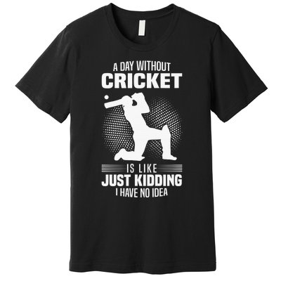 Funny Cricket Lover A Day Without Cricket Premium T-Shirt