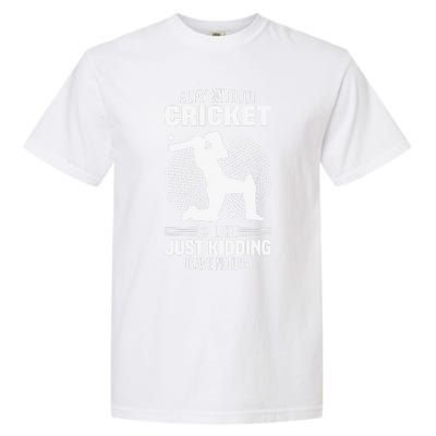 Funny Cricket Lover A Day Without Cricket Garment-Dyed Heavyweight T-Shirt