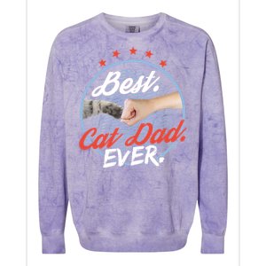 Funny Cat Lover Gift Best Cat Dad Ever Gift Colorblast Crewneck Sweatshirt