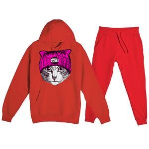 Funny Cat Ladies 2024 Rights Equal Rights Teens Premium Hooded Sweatsuit Set