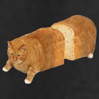 Funny Cat Loaf Cat Bread Cat Lovers Kitty Kitten Women 7 Panel Mesh Trucker Snapback Hat