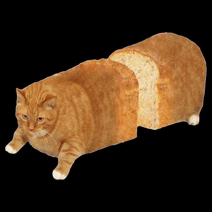 Funny Cat Loaf Cat Bread Cat Lovers Kitty Kitten Women Womens T-Shirt