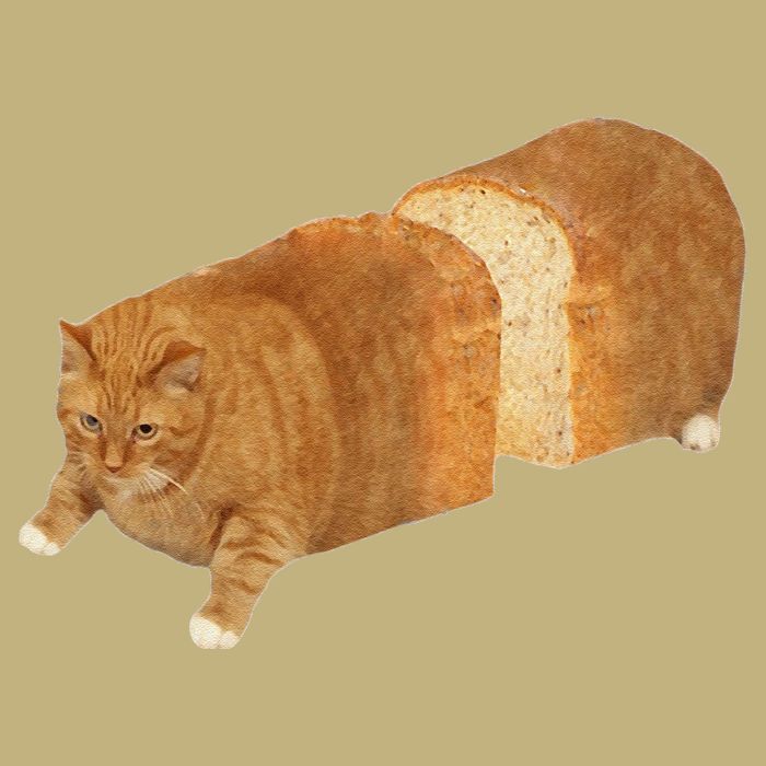Funny Cat Loaf Cat Bread Cat Lovers Kitty Kitten Women Cooling Performance Crew T-Shirt