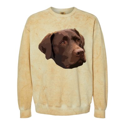 Funny Chocolate Lab Labrador Retriever Dog Head Colorblast Crewneck Sweatshirt