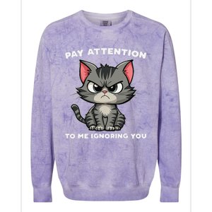 Funny Cat Lovers Pay Attention To Me Ignoring You Colorblast Crewneck Sweatshirt