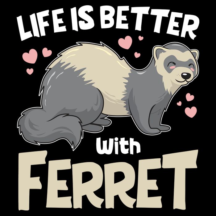 Funny Cute Life Is Better With Ferret Impact Tech Backpack