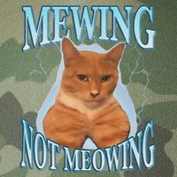 Funny Cat Meme Mewing Looksmax Meowing Cat Trend Legacy Tie Dye Trucker Hat
