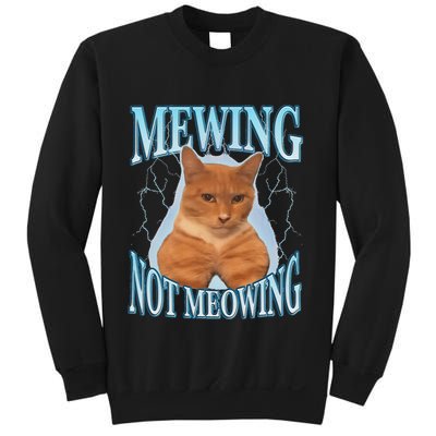 Funny Cat Meme Mewing Looksmax Meowing Cat Trend Sweatshirt