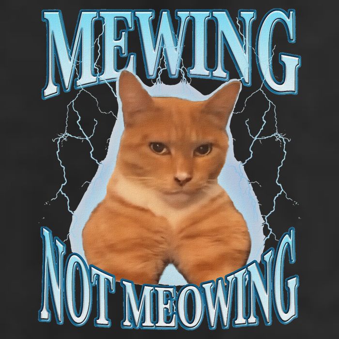 Funny Cat Meme Mewing Looksmax Meowing Cat Trend Tumbler