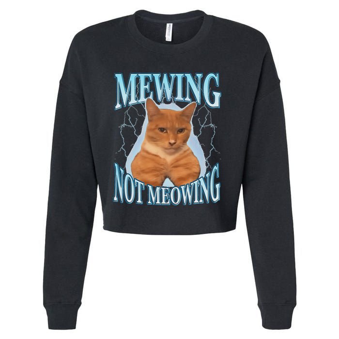 Funny Cat Meme Mewing Looksmax Meowing Cat Trend Cropped Pullover Crew