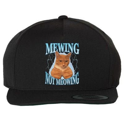 Funny Cat Meme Mewing Looksmax Meowing Cat Trend Wool Snapback Cap