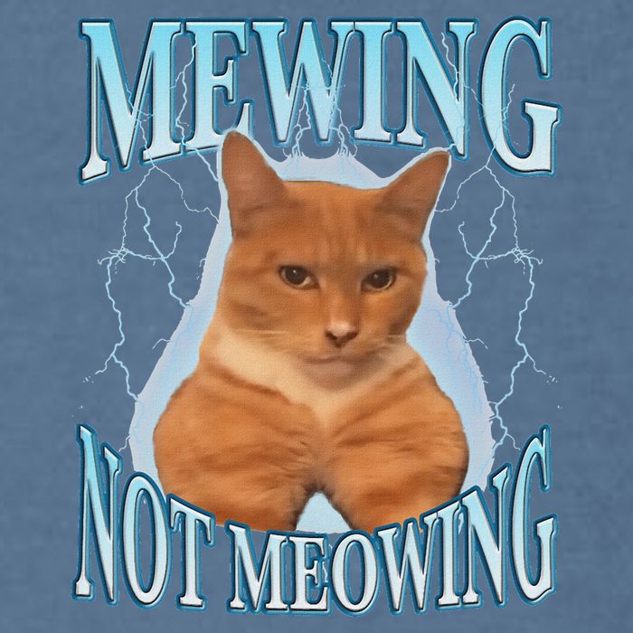Funny Cat Meme Mewing Looksmax Meowing Cat Trend Garment-Dyed Sweatshirt