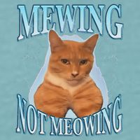 Funny Cat Meme Mewing Looksmax Meowing Cat Trend Sueded Cloud Jersey T-Shirt