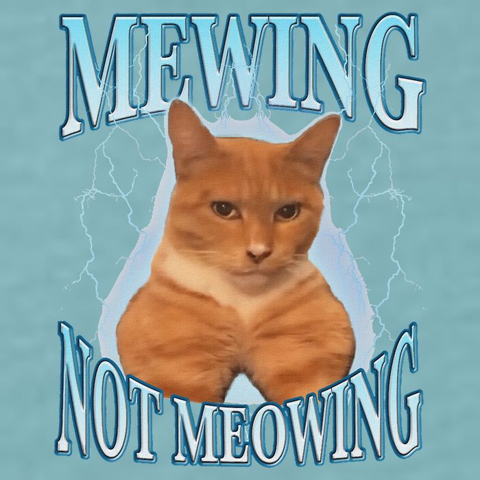 Funny Cat Meme Mewing Looksmax Meowing Cat Trend Sueded Cloud Jersey T-Shirt