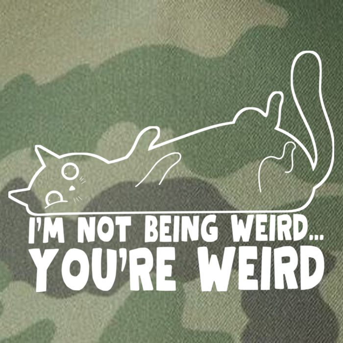Funny Cat Meme Im Not Being Weird Youre Weird Cat Dad Mom Legacy Tie Dye Trucker Hat