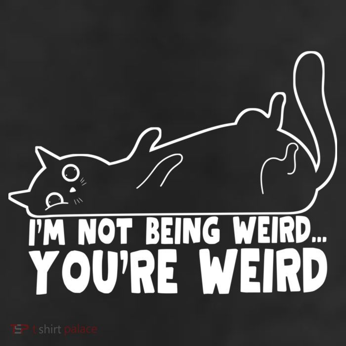 Funny Cat Meme Im Not Being Weird Youre Weird Cat Dad Mom 11oz C Handle Ceramic Mug