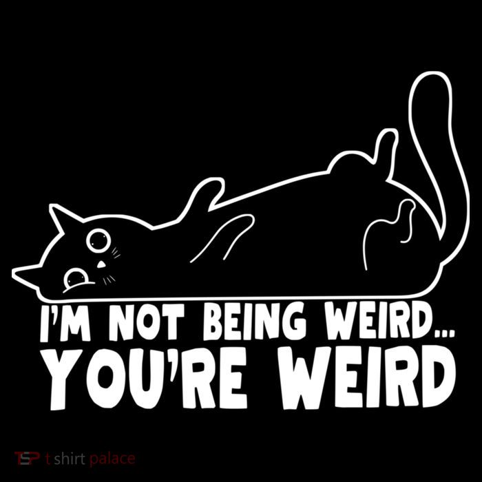 Funny Cat Meme Im Not Being Weird Youre Weird Cat Dad Mom Wool Snapback Cap