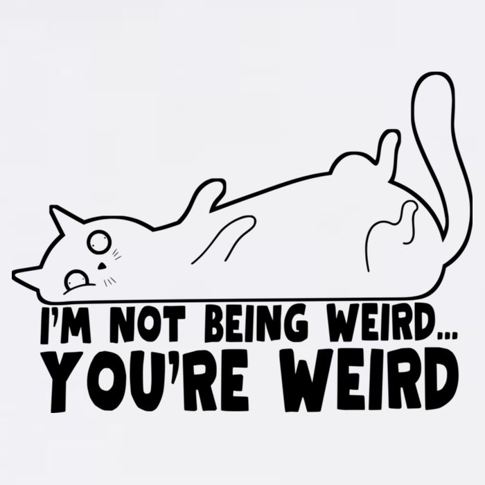 Funny Cat Meme Im Not Being Weird Youre Weird Cat Dad Mom Garment-Dyed Sweatshirt
