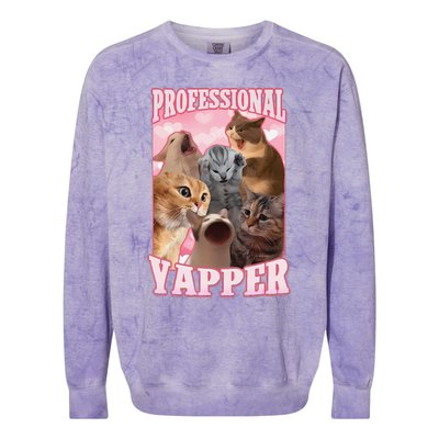 Funny Cat Meme Professional Yapper Cat Oddly Specific Dank Colorblast Crewneck Sweatshirt