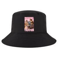 Funny Cat Meme Professional Yapper Cat Oddly Specific Dank Cool Comfort Performance Bucket Hat